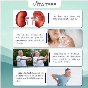 Viên bổ thận Vitatree Kidney Tonic - 100 viên