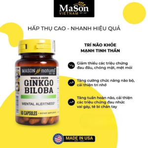 Mason Natural Ginkgo Biloba ho tro tang cuong suc khoe nao bo