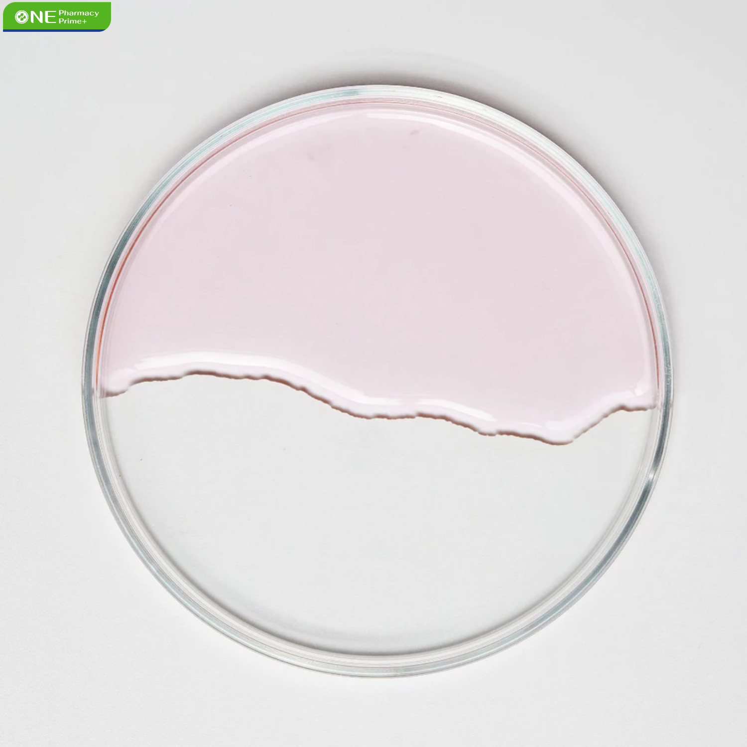 Hyaestic ClairBlanc17