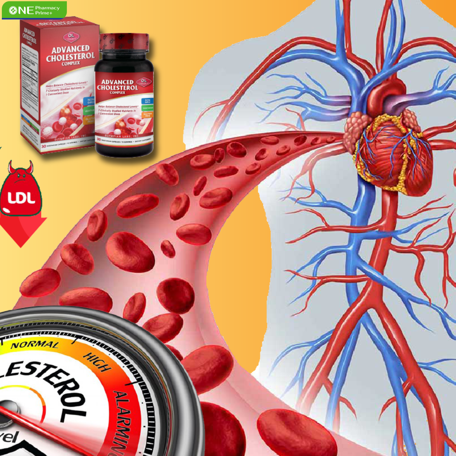 Olympian Labs Advanced Cholesterol Complex 2